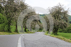 Road from SuÄany to TurÄianska Stiavnicka in springtime, Slovakia